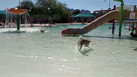 BLACK MOUNTAIN RECREATION CENTER - Henderson NV - Hours, Directions ...