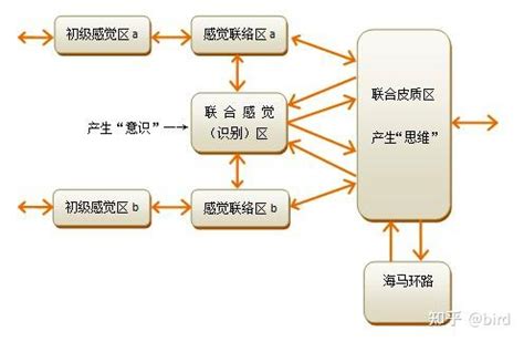 什么是意识状态？ - 知乎