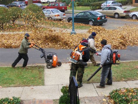 States and towns consider banning gas-powered leaf blowers and lawn mowers Minimalist