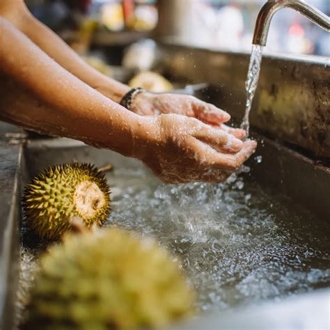 How to Get Rid of Durian Smell from Hands and Breath | Don Signature Crab - Singapore Food Guide