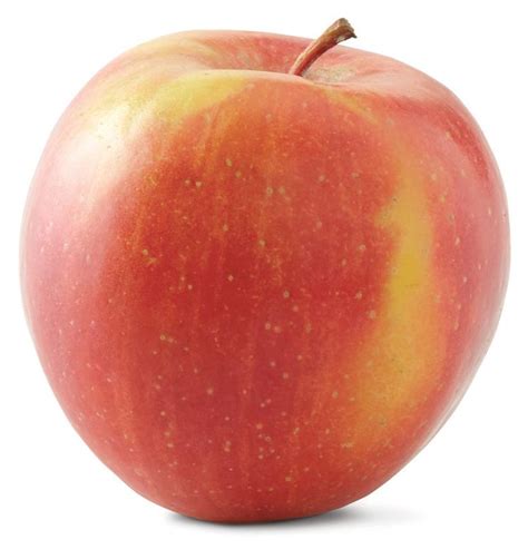 Image result for Apple System.Data