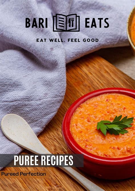 'Pureed Perfection' Pureed Diet Recipes – Bari Eats