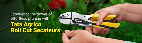 TATA AGRICO Steel Metallic Roll Cut Secateurs (Yellow & Silver) |Garden ...