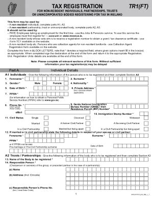 2023-2026 Form IE TR1 (FT) - Blank Fillable Template | Fill Out, Print ...
