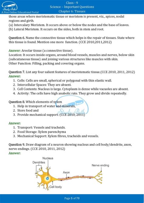 Image result for Case Study Based Question Science Class 9 Tissues