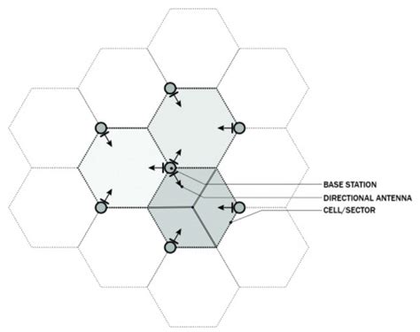 Cellular Network Structure 的图像结果