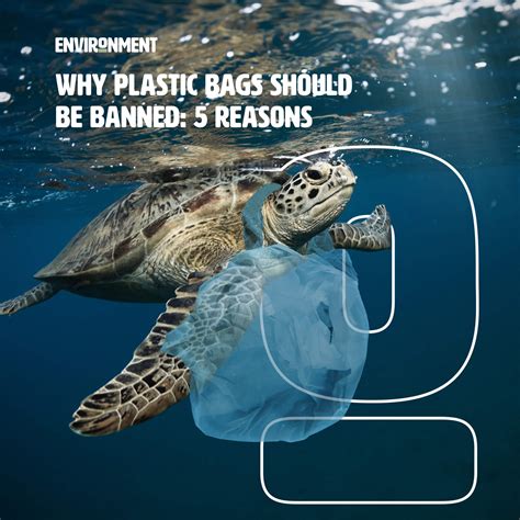 Why Plastic Bags Should Be Banned: 5 Reasons - Environment Co