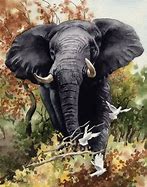 Image result for Elephant Canvas Print