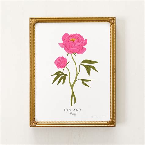 Indiana State Flower Print | CUSTOMIZABLE | Peony Print, Indiana State ...