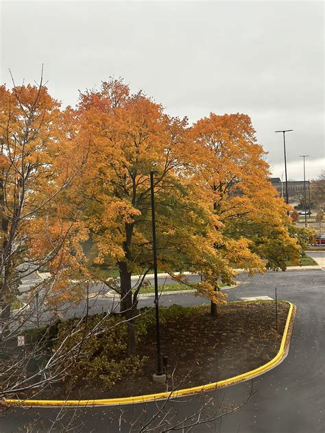 SCHAUMBURG CORPORATE CENTER - Schaumburg IL - Hours, Directions ...