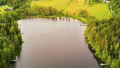 Excursión al Parque Nacional de Sipoonkorpi + Sauna finlandesa ...