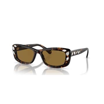 Sunglasses, Rectangular shape, SK6008, Brown | Swarovski