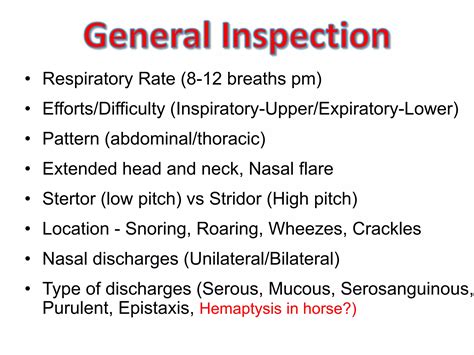 Respiratory diseases of horses | PPTX