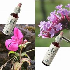 fiori di bach menopausa fiori di bach e menopausa menopausa fiori di bach menopausa fiori di bach e menopausa menopausa