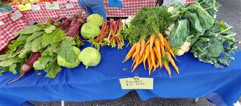 Aug 20 | Owings Mills Farmers Market- Week 10 | Owings Mills, MD Patch