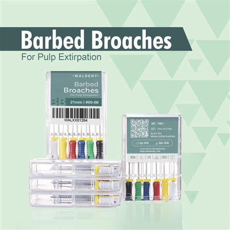 Waldent Barbed Broaches 21mm (Pack of 6) – Waldent.com