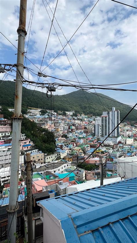 vasily sobolev~ (@dav_vasily) • Instagram photos and videos