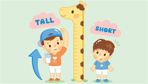 Image result for Short Note On CSS