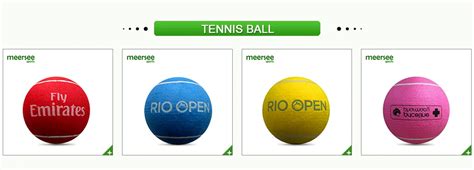 Company Overview - Nanjing Wellson Sporting Goods Co., Ltd.