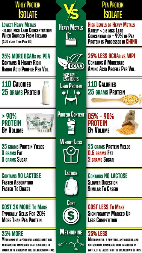 Pea Protein Vs Whey Protein? Know The Difference