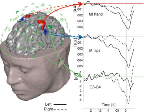 Science Brain Computer Interface 的图像结果