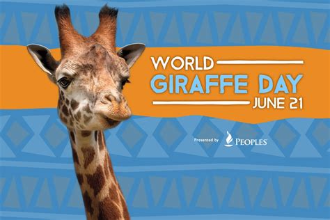 World Giraffe Day - Pittsburgh Zoo & Aquarium