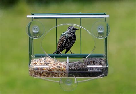 DIY Window Bird Feeder Guide | Twigandthistle