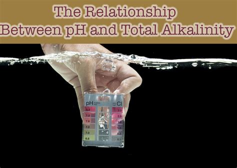 The Relationship Between pH and Total Alkalinity | Pool, Pool chlorine ...