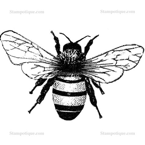 Bees Drawing at GetDrawings | Free download
