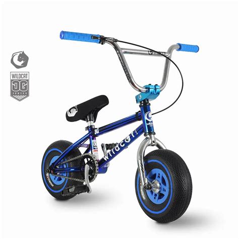 Wildcat Mini BMX Bikes | Best Mini Stunt Bike for kids