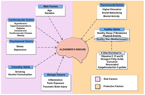 Therapeutic Approach to Alzheimer’s Disease: Current Treatments and New ...