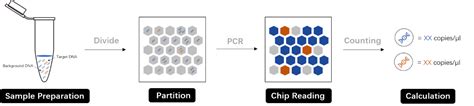 Image result for Digital PCR Tutorial