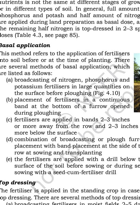 Broadcasting Fertilizer 的图像结果