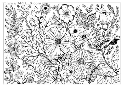 13 Best Flower Coloring Pages (Free + Printable) – Artlex