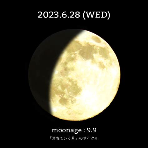 月齢9.9、月は天秤座から蠍座へ｜6月28日の月からのメッセージ