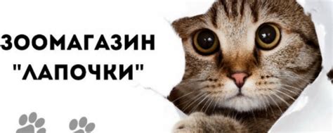 Зоомагазин "Лапочки" | Огромный выбор товаров для ваших любимцев -корма ...