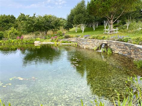 Natural Swimming Pool Design