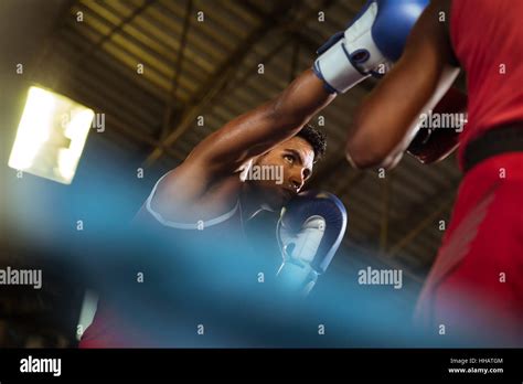 Boxer Human 的图像结果