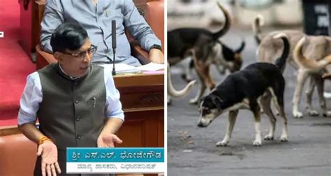 'Killed 2,800 dogs, can go to jail if needed': Shocker from K'taka leader