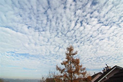 Altocumulus Clouds