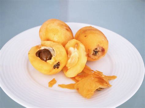 Fruit of the Season: How to Pick and Eat Loquats (or Nisperos, or Pípa ...