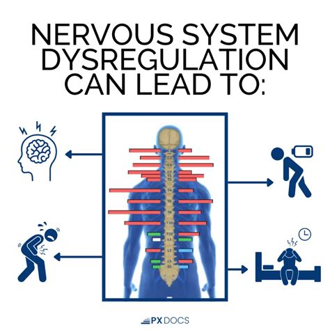 Pediatric Nervous System Dysregulation | PX Docs