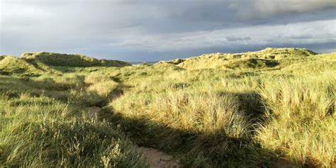 Pandrup Tourism (2023): Best of Pandrup, Denmark - Tripadvisor