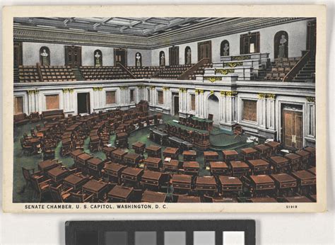 Senate 的图像结果