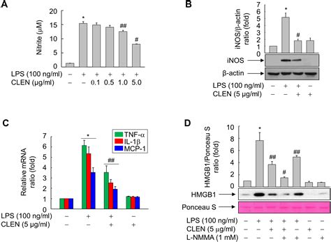 Curcumin longa extract-loaded nanoemulsion improves the survival of endotoxemic mice by ...