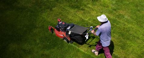 Action Landscaping Blog