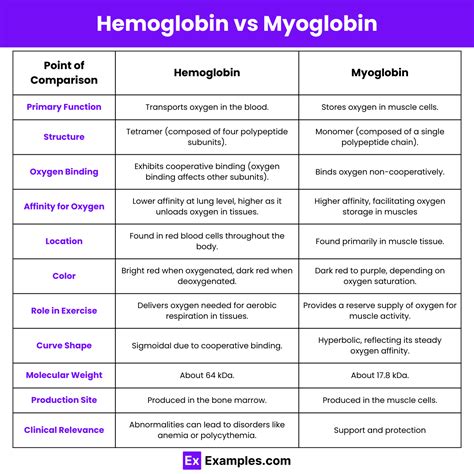 Hemoglobin vs Myoglobin - Difference Explained with Structure & Function