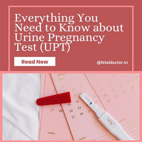 Everything You Need to Know about Urine Pregnancy Test (UPT)