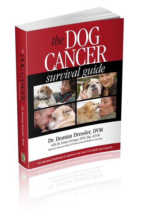 Five Dog Cancer Diet Ideas Anyone Can Do – Tripawds Nutrition