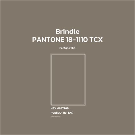 About PANTONE 18-1110 TCX - Brindle Color - Color codes | matching ...